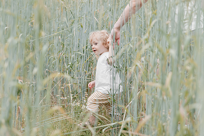 Somerset Family Portraits